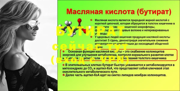сатива Кинешма