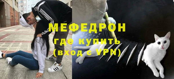 сатива Кинешма
