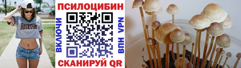 Псилоцибиновые грибы Magic Shrooms  Купить  Чёрмоз 